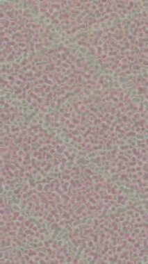 Estetik doku arkaplan tasarımı renkli hareket grafikleri ile moda film giriş profosyoneli