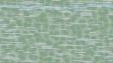 Benzersiz dijital animasyon tarzı grafikleri olan yaratıcı ortam tasarımı için yenilikçi hareket dokusu