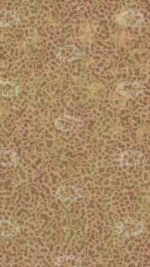 Benzersiz video giriş tasarımı projeleri için detaylı yüzey kalıbı film animasyon stili grafik girişi