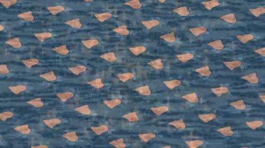 Benzersiz dijital hareket grafiklerine sahip yaratıcı sinematik projeler için yumuşak animasyon yüzeyi