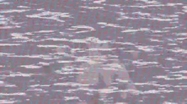 Profesyonel video projeleri sanat tarzı için organik hareketli arkaplan tasarımı