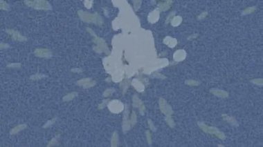 Lüks hareket projeleri için soyut tasarım stili animasyonu olan üst düzey dijital doku