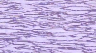 Benzersiz dijital hareket grafiklerine sahip yaratıcı sinematik projeler için yumuşak animasyon yüzeyi