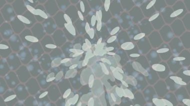 Benzersiz dijital hareket grafiklerine sahip yaratıcı sinematik projeler için yumuşak animasyon yüzeyi