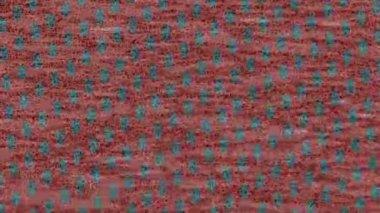 Organik desenli yüzey giriş stili video film sanatı ile soyut arkaplan tasarımı