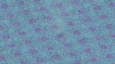 Benzersiz hareket grafikleri tasarım sanatına sahip yaratıcı film üretimi için özet bir arkaplan