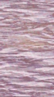 Organik desenli yüzey giriş stili video film sanatı ile soyut arkaplan tasarımı