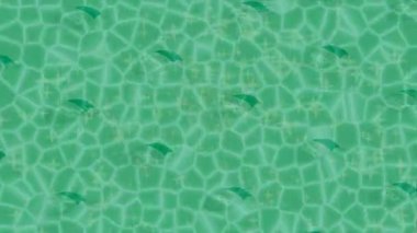 Dijital doku yüzey tasarım biçimi ile modern video animasyonu için gelişmiş hareket grafikleri