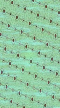 Estetik doku arkaplan tasarımı renkli hareket grafikleri ile moda film giriş profosyoneli