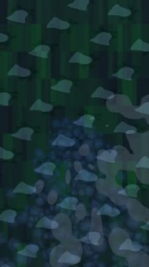 Benzersiz dijital hareket grafiklerine sahip yaratıcı sinematik projeler için yumuşak animasyon yüzeyi