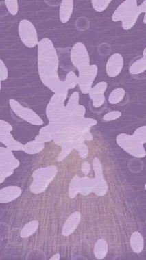 Benzersiz dijital hareket grafiklerine sahip yaratıcı sinematik projeler için yumuşak animasyon yüzeyi