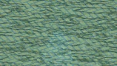 Organik desenli yüzey giriş stili video film sanatı ile soyut arkaplan tasarımı