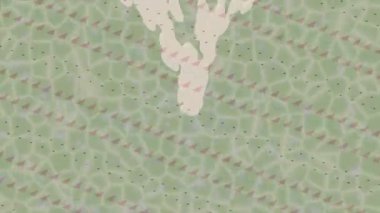 Lüks hareket projeleri için soyut tasarım stili animasyonu olan üst düzey dijital doku