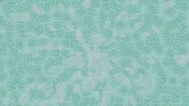 Organik desenli yüzey giriş stili video film sanatı ile soyut arkaplan tasarımı