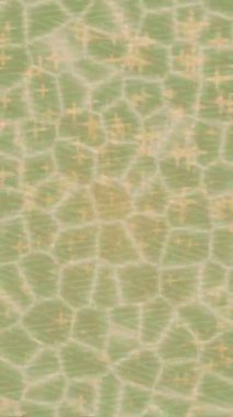 Yaratıcı video düzenleme film arkaplan tasarımı için minimalist organik hareket grafikleri