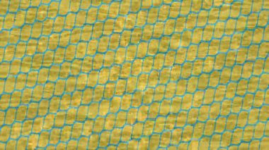 Profesyonel video projeleri sanat tarzı için organik hareketli arkaplan tasarımı