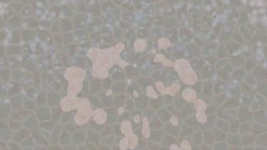 Lüks hareket tasarımı üst düzey video projeleri ve dijital sanat için zarif, pürüzsüz bir dokusu var.