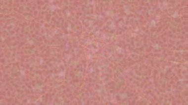 Organik desenli yüzey giriş stili video film sanatı ile soyut arkaplan tasarımı