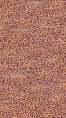 Benzersiz dijital hareket grafiklerine sahip yaratıcı sinematik projeler için yumuşak animasyon yüzeyi