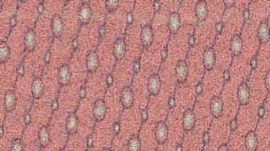 Dijital doku yüzey tasarım biçimi ile modern video animasyonu için gelişmiş hareket grafikleri