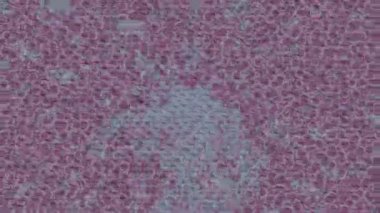 Organik desenli yüzey giriş stili video film sanatı ile soyut arkaplan tasarımı