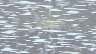 Modern medya üretimi için fütüristik dijital soyut doku sinematik tarz hareketli grafik ögesi