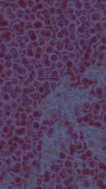 Benzersiz dijital animasyon tarzı grafikleri olan yaratıcı ortam tasarımı için yenilikçi hareket dokusu