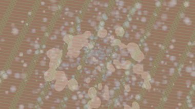 Yaratıcı video düzenleme film arkaplan tasarımı için minimalist organik hareket grafikleri