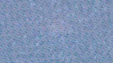 Benzersiz dijital hareket grafiklerine sahip yaratıcı sinematik projeler için yumuşak animasyon yüzeyi