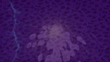 Benzersiz dijital hareket grafiklerine sahip yaratıcı sinematik projeler için yumuşak animasyon yüzeyi