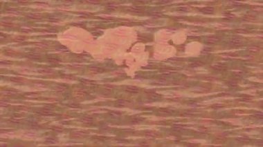 Benzersiz dijital animasyon tarzı grafikleri olan yaratıcı ortam tasarımı için yenilikçi hareket dokusu