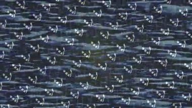 Dijital doku yüzey tasarım biçimi ile modern video animasyonu için gelişmiş hareket grafikleri