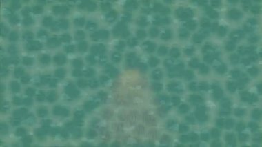 Benzersiz dijital animasyon tarzı grafikleri olan yaratıcı ortam tasarımı için yenilikçi hareket dokusu