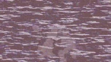 Organik desenli yüzey giriş stili video film sanatı ile soyut arkaplan tasarımı