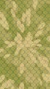 Yaratıcı video düzenleme film arkaplan tasarımı için minimalist organik hareket grafikleri