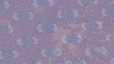 Organik desenli yüzey giriş stili video film sanatı ile soyut arkaplan tasarımı