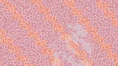 Yaratıcı video düzenleme film arkaplan tasarımı için minimalist organik hareket grafikleri