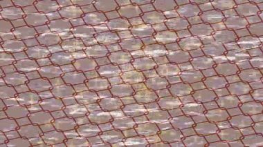 Soyut hareket desenli fütüristik video üretimi için dinamik dijital arkaplan