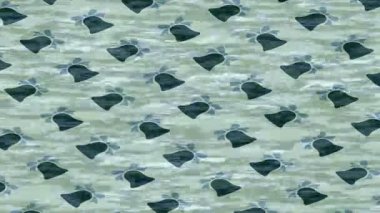 Benzersiz hareket dokusu tasarım sanatı ile profesyonel video düzenleme için modern soyut grafikler