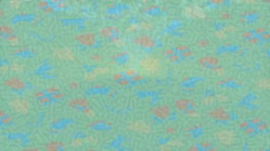 Yaratıcı video düzenleme film tasarımı için benzersiz hareket grafikleri biçimi giriş hareketi video pro