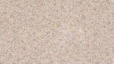 Soyut hareket desenli fütüristik video üretimi için dinamik dijital arkaplan