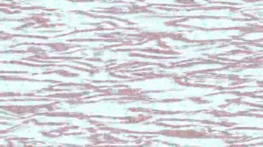 Estetik doku arkaplan tasarımı renkli hareket grafikleri ile moda film giriş profosyoneli