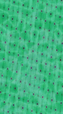 Lüks hareket projeleri için soyut tasarım stili animasyonu olan üst düzey dijital doku