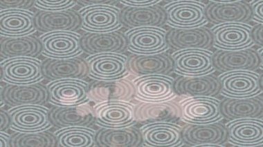 Organik desenli yüzey giriş stili video film sanatı ile soyut arkaplan tasarımı