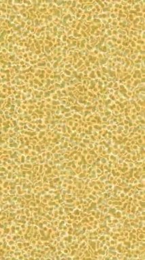 Estetik doku arkaplan tasarımı renkli hareket grafikleri ile moda film giriş profosyoneli