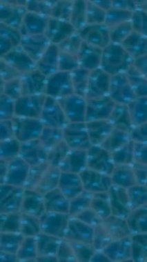 Yaratıcı video düzenleme film tasarımı için benzersiz hareket grafikleri biçimi giriş hareketi video pro