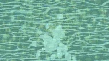 Profesyonel video projeleri sanat tarzı için organik hareketli arkaplan tasarımı