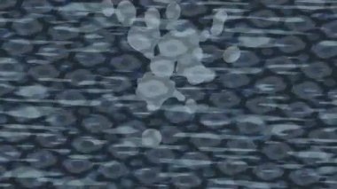 Yaratıcı video düzenleme film arkaplan tasarımı için minimalist organik hareket grafikleri