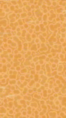 Organik desenli yüzey giriş stili video film sanatı ile soyut arkaplan tasarımı