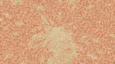 Yaratıcı video düzenleme film tasarımı için benzersiz hareket grafikleri biçimi giriş hareketi video pro